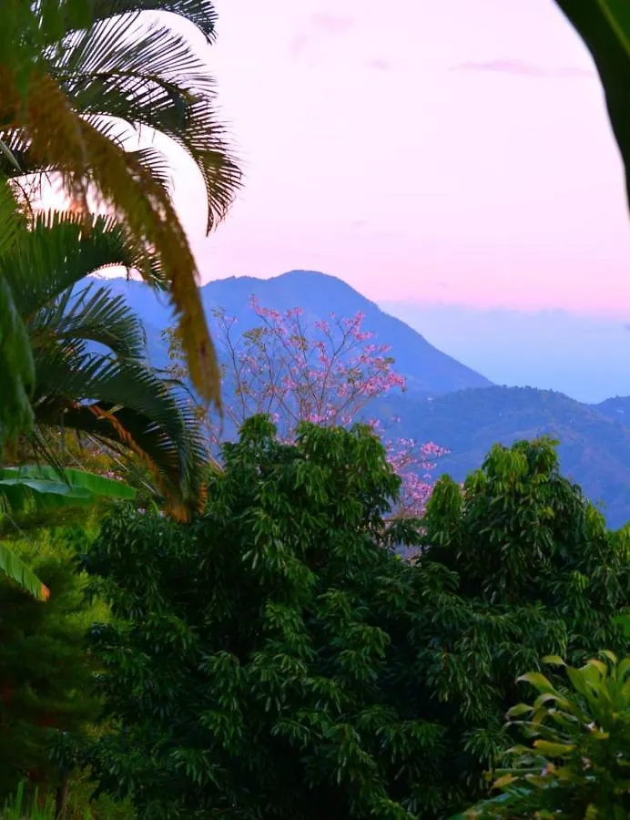 Ginger Lodge Cottage, Peters Rock, Woodford Po St Andrew, Jamaica - This Property Is Not In Jacks Hill Kingston