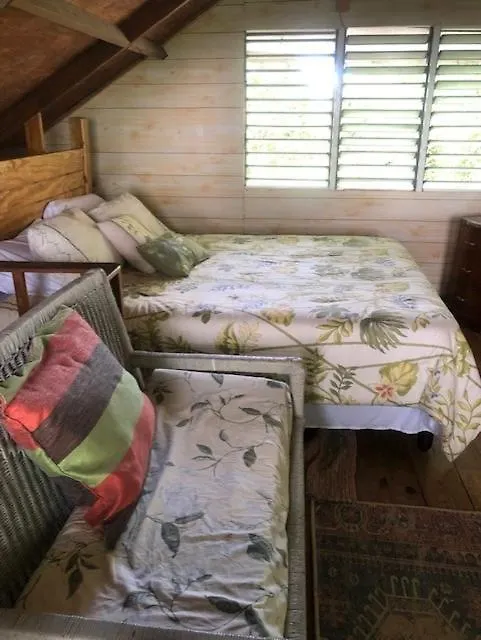Ginger Lodge Cottage, Peters Rock, Woodford Po St Andrew, Jamaica - This Property Is Not In Jacks Hill Kingston 0*,  Jamaica
